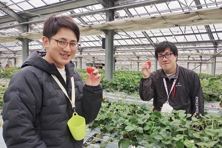 イメージ:いちご狩り